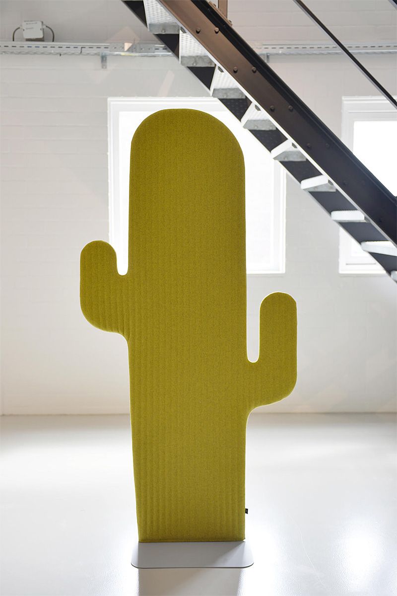 BS Cactus
